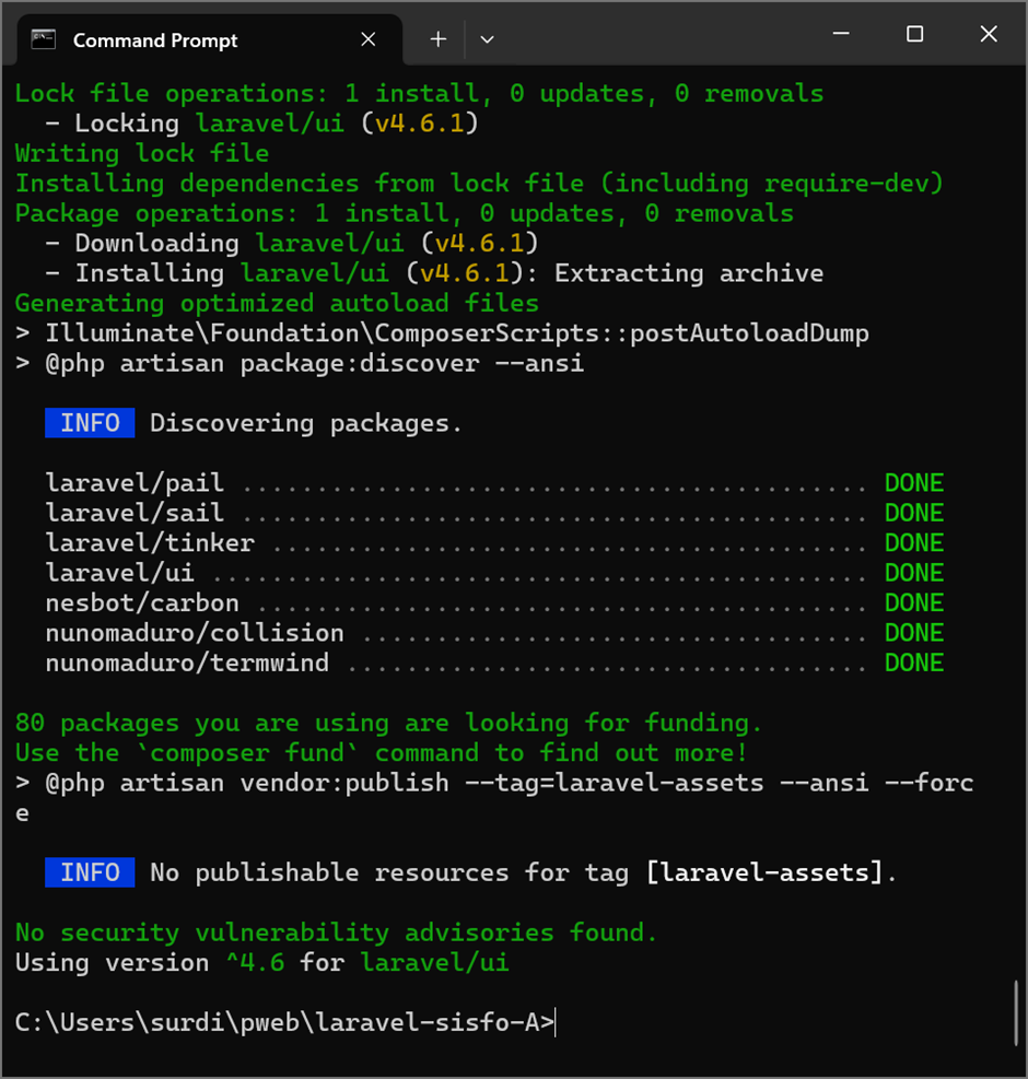 Install package Laravel/ui