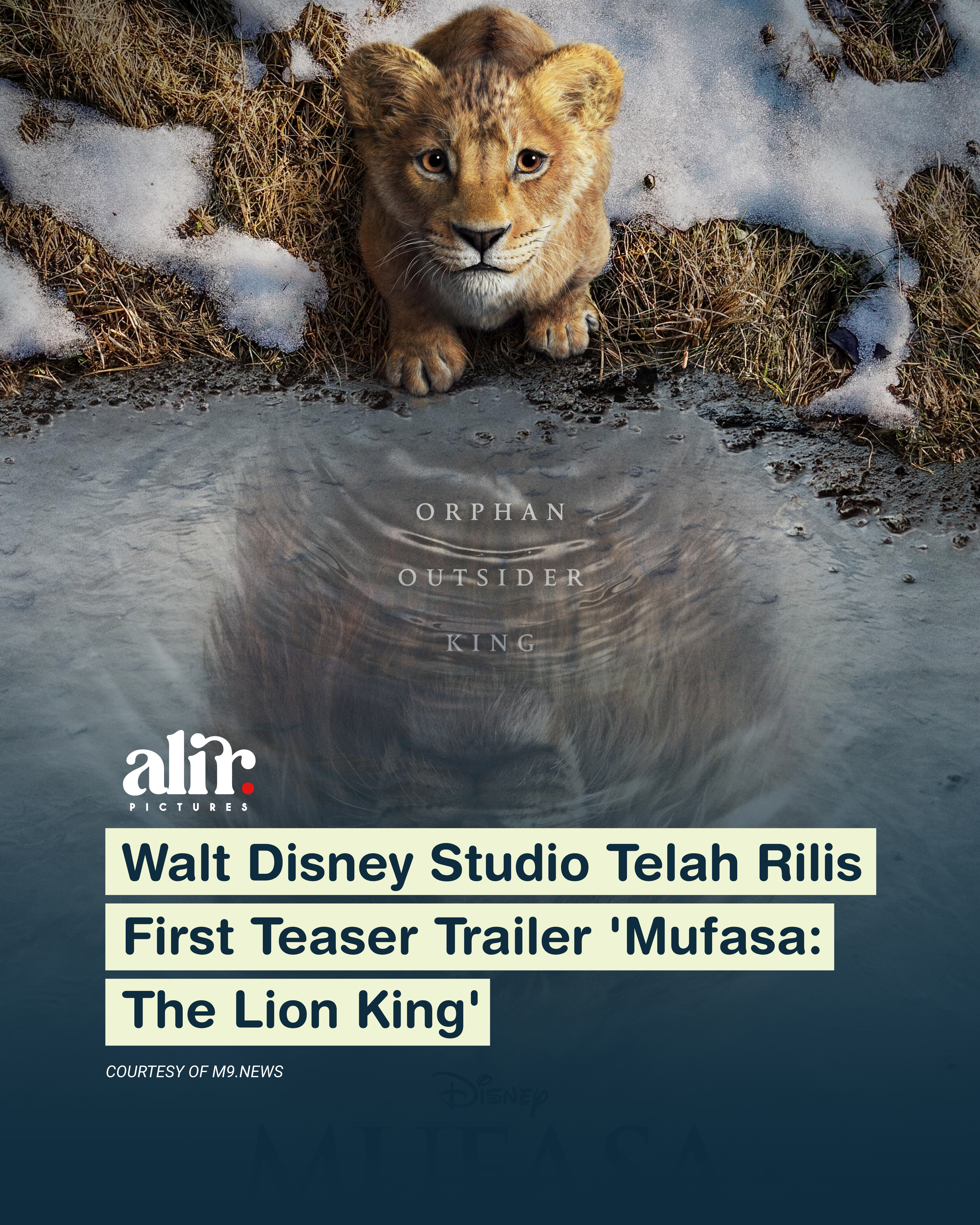 Alir Pictures (Intern)